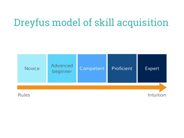 Dreyfus model