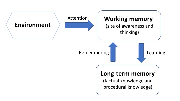 working memory model