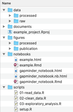 Example of a working directory structure.