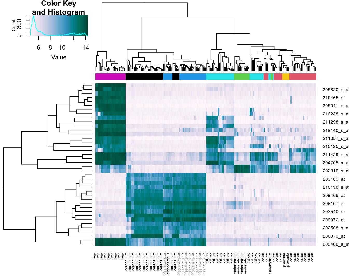 Heatmap of the expression of the 40 genes with the highest variance.