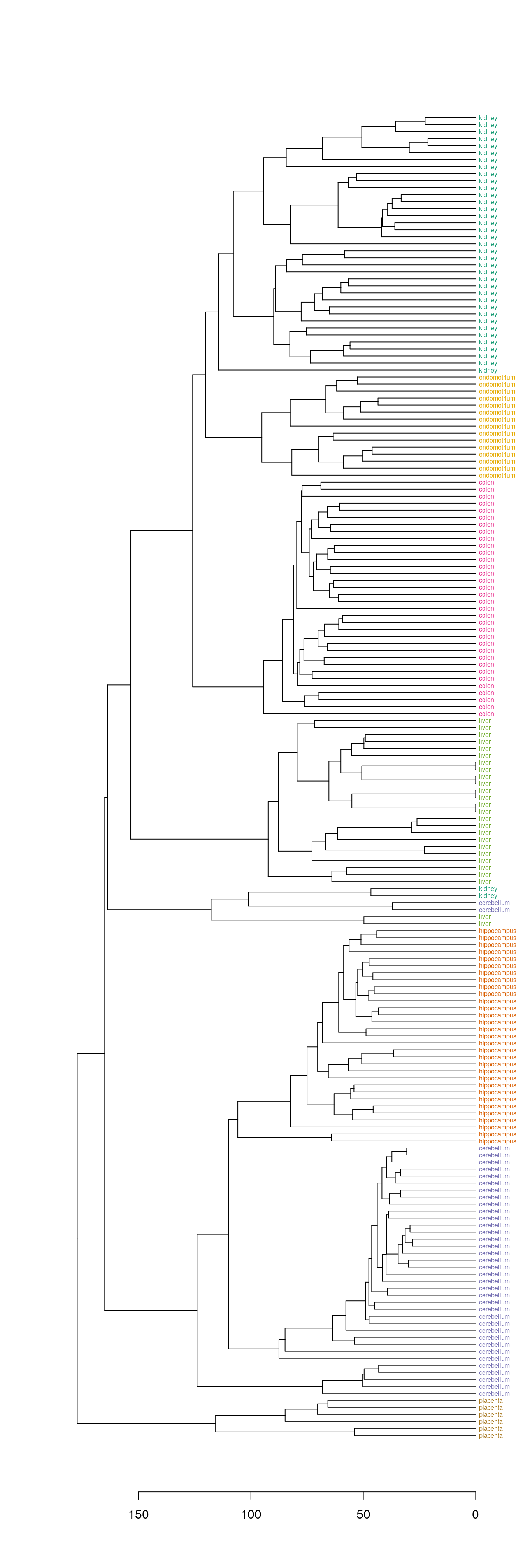 Clustering of tissue samples based on gene expression profiles with labels coloured by tissue type. 