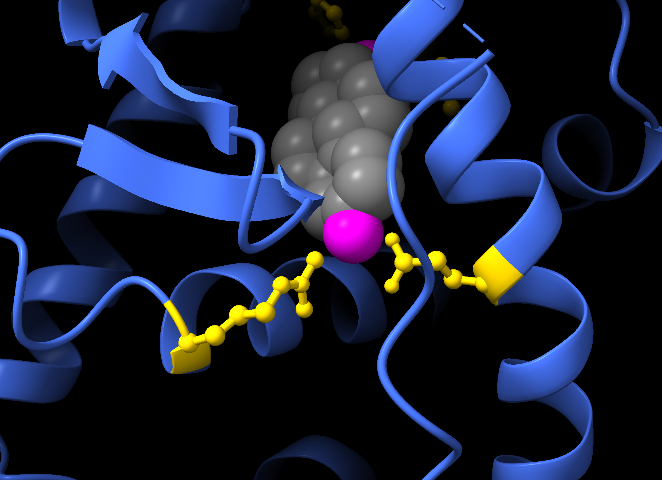 Ligand view of 1ERE structure.
