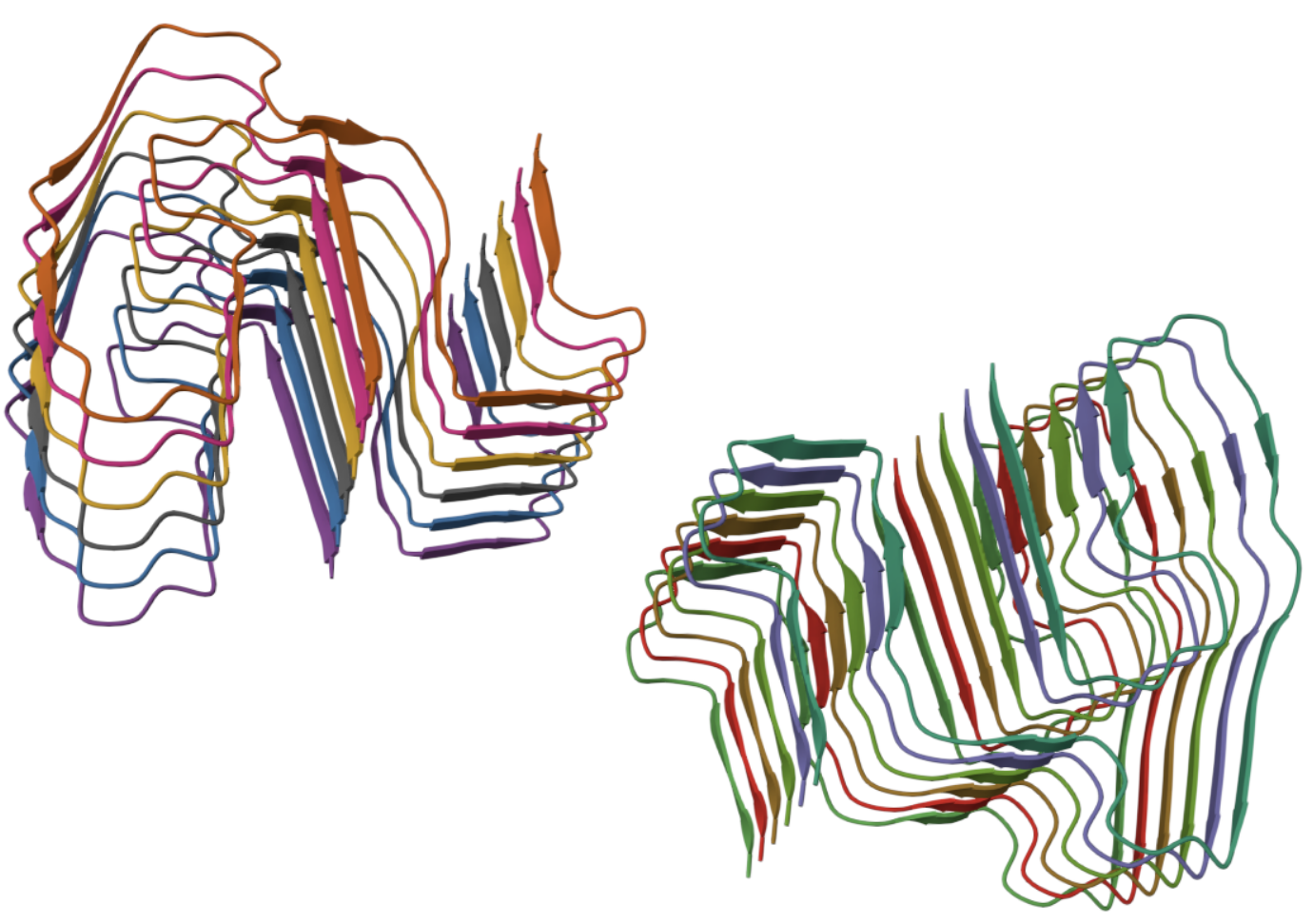 Mus musculus AA amyloid fibril.