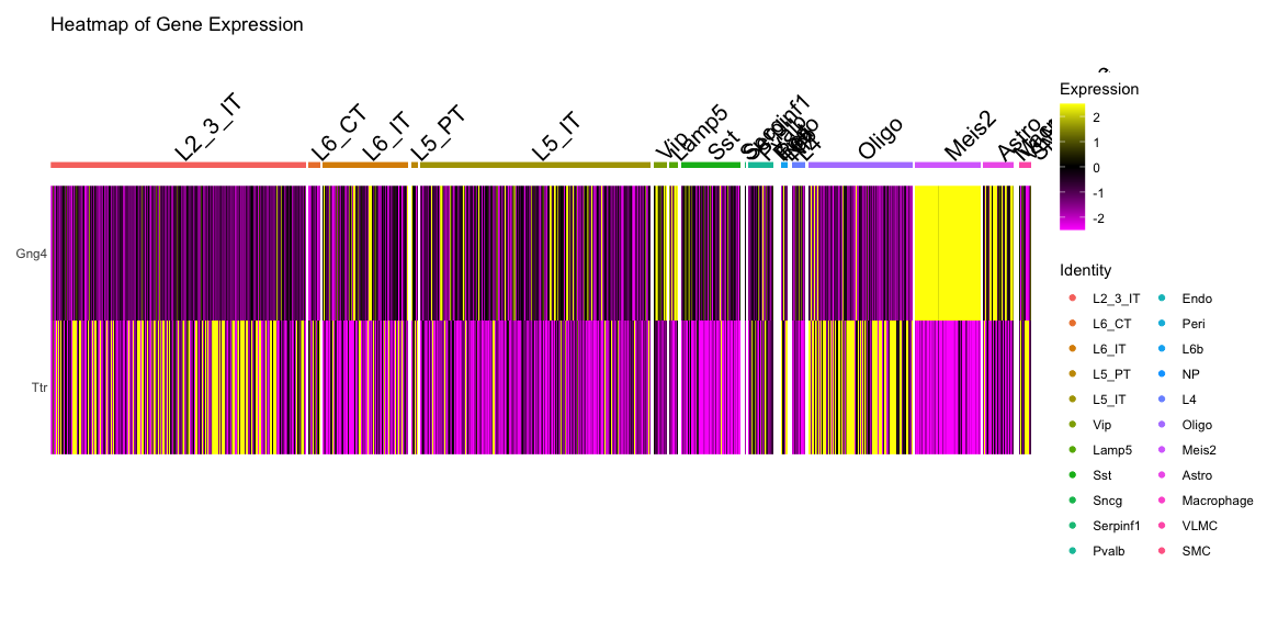 Heatmap of Gene Expression