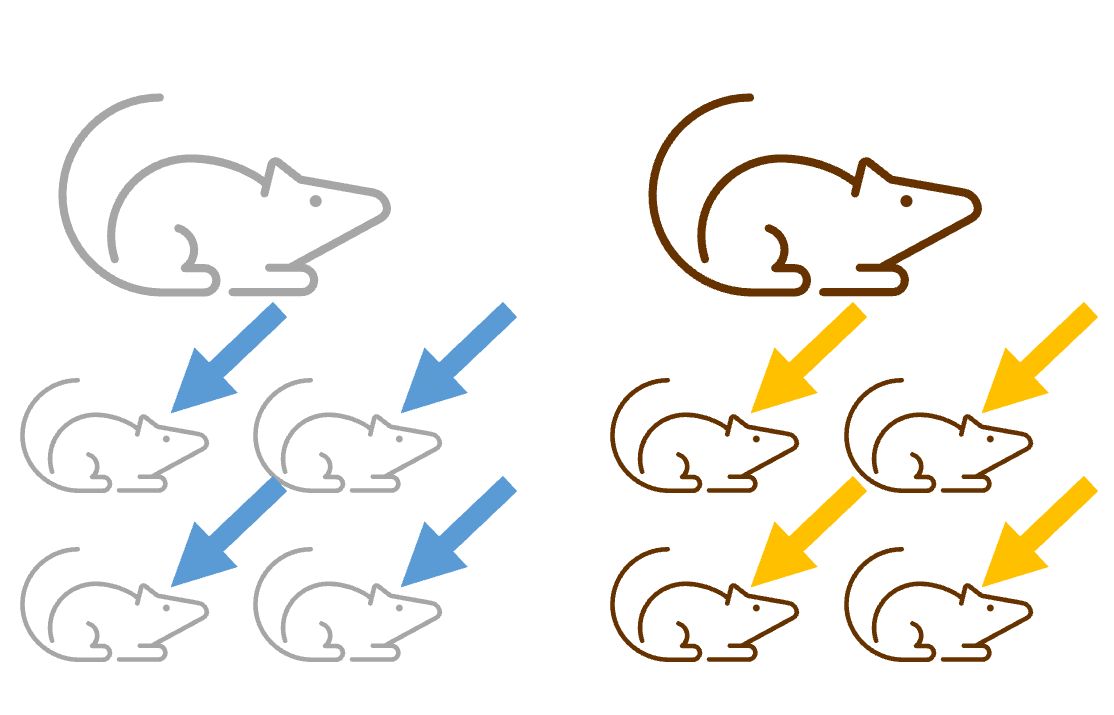 Treatment applied to offspring after birth