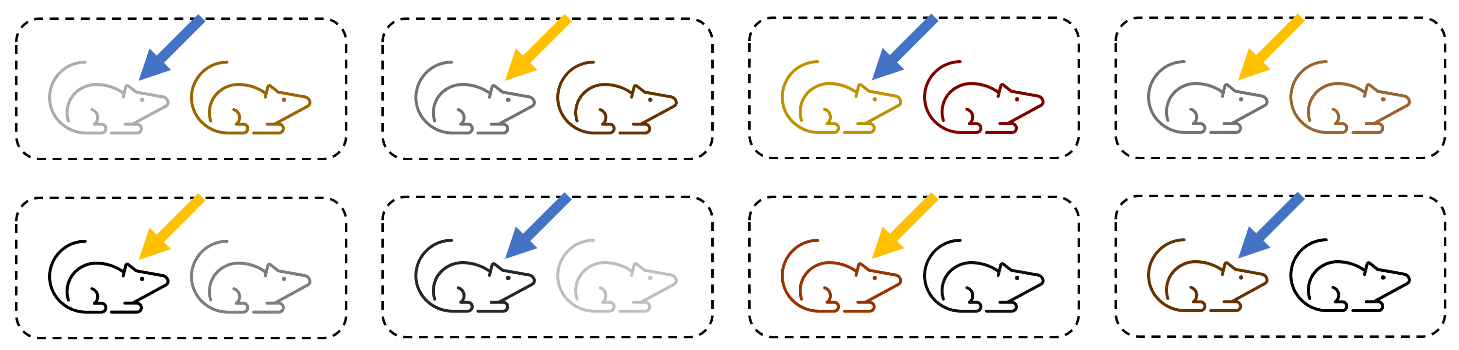 True independent replication