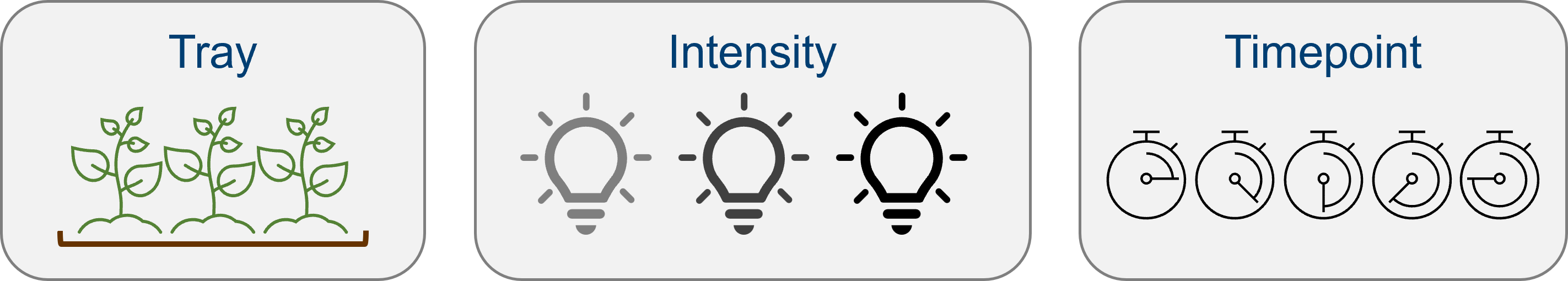 Graphic with three variables listed: Tray, Itensity and Timepoint